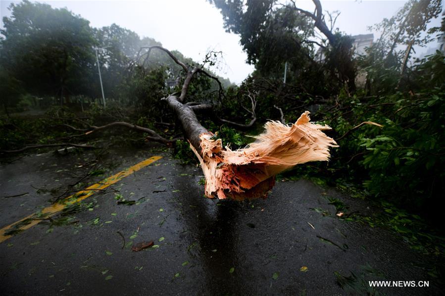 Le super typhon Mangkhut touche terre dans le sud de la Chine 