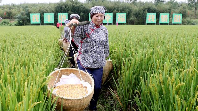 La Chine va créer une fête nationale célébrant les contributions des agriculteurs
