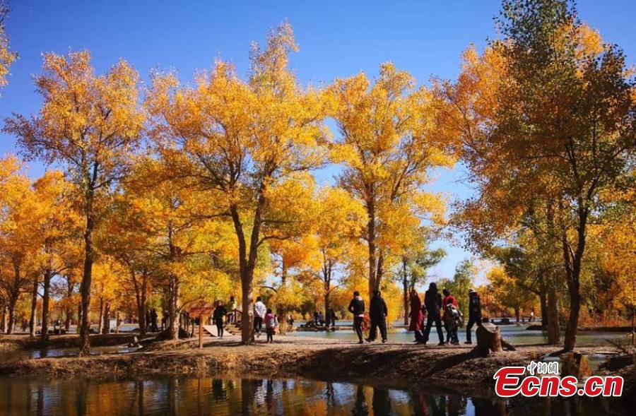 Les couleurs de l'automne attirent les touristes