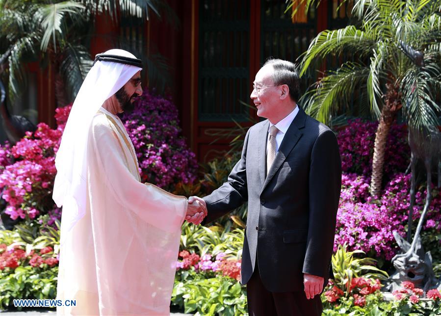 Entretien entre les vice-présidents de la Chine et des Emirats arabes unis