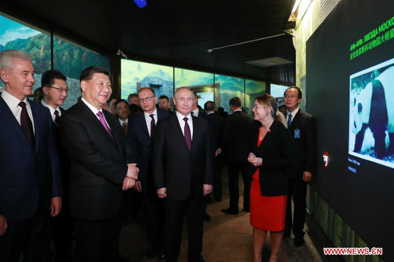 La Chine et la Russie conviennent d'élever leurs relations au niveau d'un partenariat de coordination stratégique global pour une nouvelle ère
