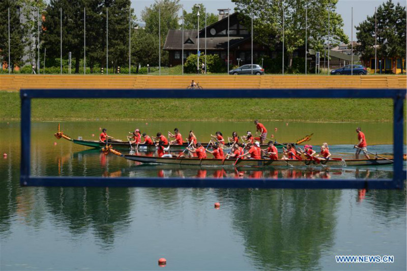 Croatie : course de bateaux-dragons à Zagreb