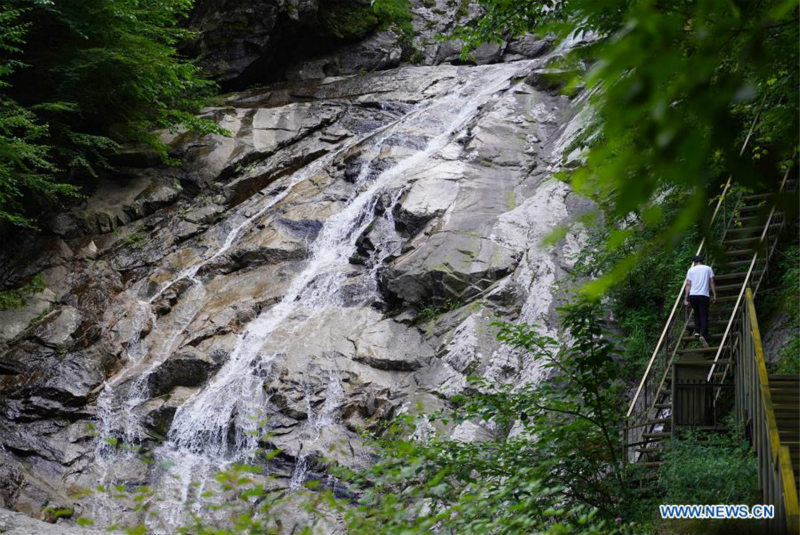 Chine: paysage d'un parc forestier au Shaanxi 