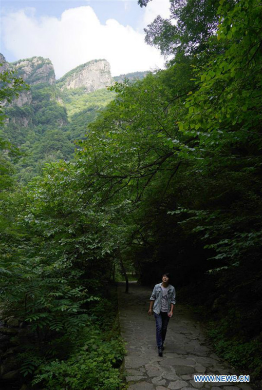 Chine: paysage d'un parc forestier au Shaanxi 