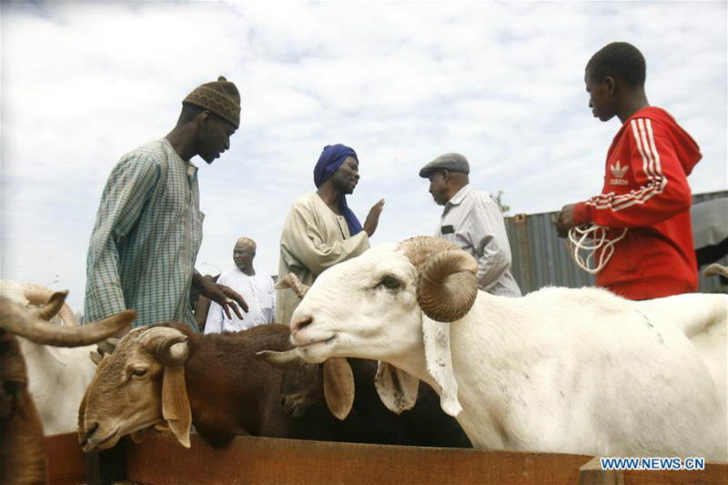 Côte d'Ivoire : préparation de l'Aïd al-Adha à Abidjan