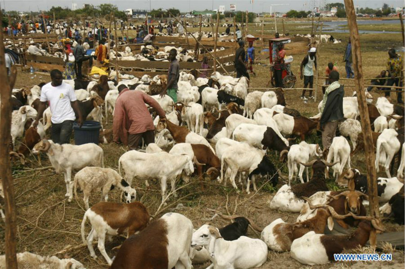 Côte d'Ivoire : préparation de l'Aïd al-Adha à Abidjan