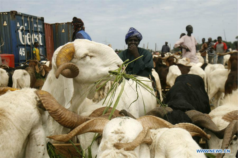 Côte d'Ivoire : préparation de l'Aïd al-Adha à Abidjan