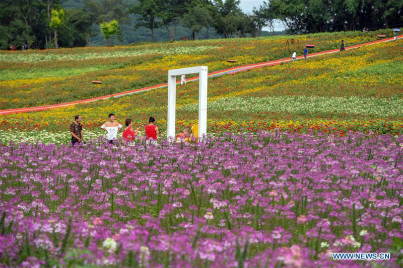 Chine: paysage de fleurs dans un village au Jilin