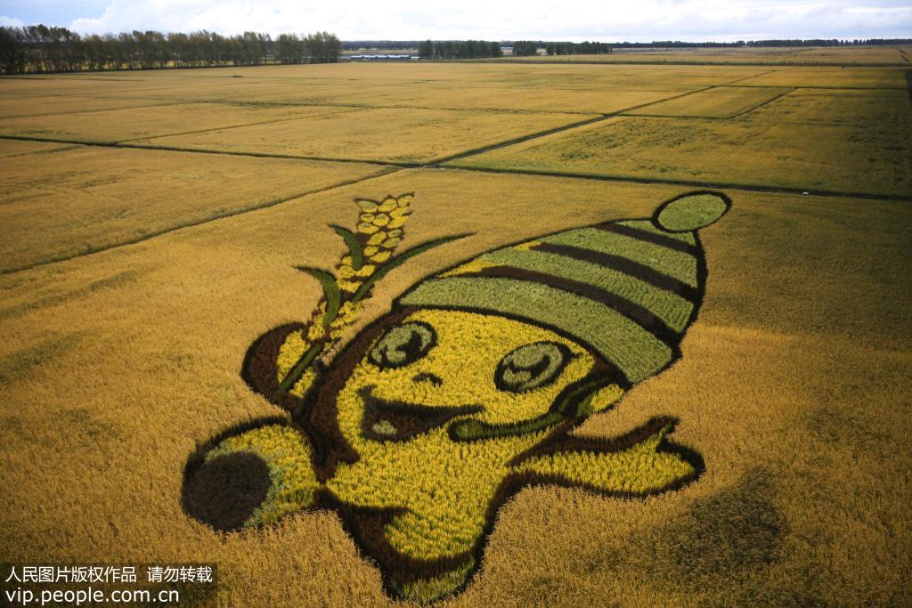 Des rizières transformées en œuvres d'art dans la province du Heilongjiang