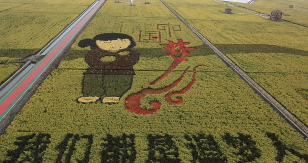 Des rizières transformées en œuvres d'art dans la province du Heilongjiang