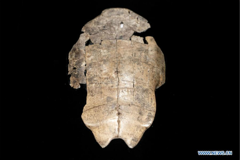 Chine : exposition d'inscriptions sur os d'oracle