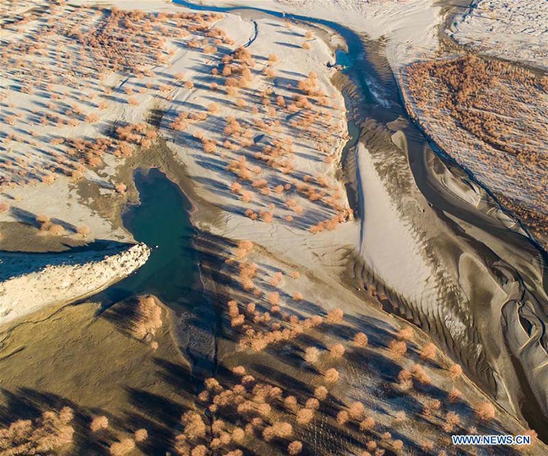 Tibet : le paysage le long de la rivière Yarlung Zangbo