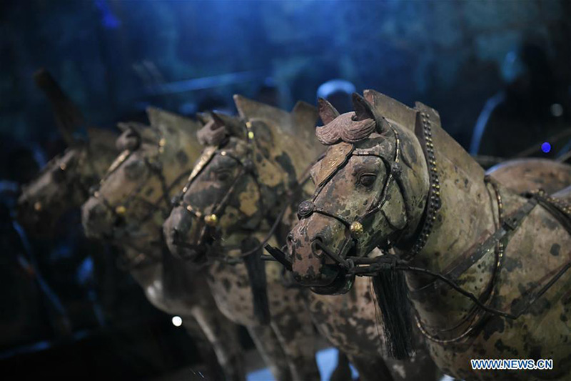 Le char et les chevaux en bronze n° 1 exposés au Musée du site du Mausolée de l'Empereur Qinshihuang