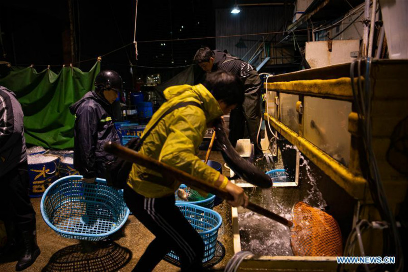 Les grands changements à Macao des 20 dernières années vus par un poissonnier local