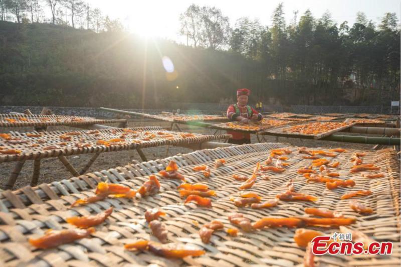 Jiangxi : des villageois sèchent des légumes au soleil