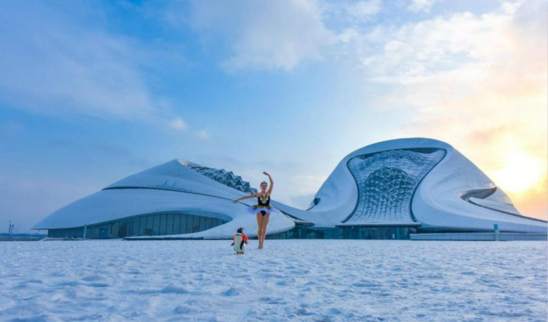 Un manchot danse avec un « cygne » russe au Grand Théâtre de Harbin