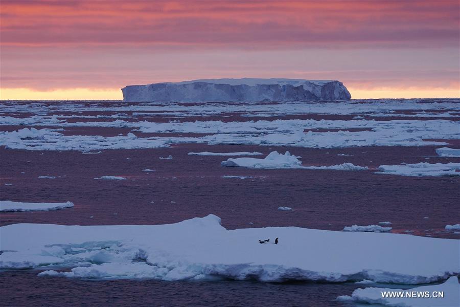 Antarctique : icebergs lors de la 36e expédition chinoise