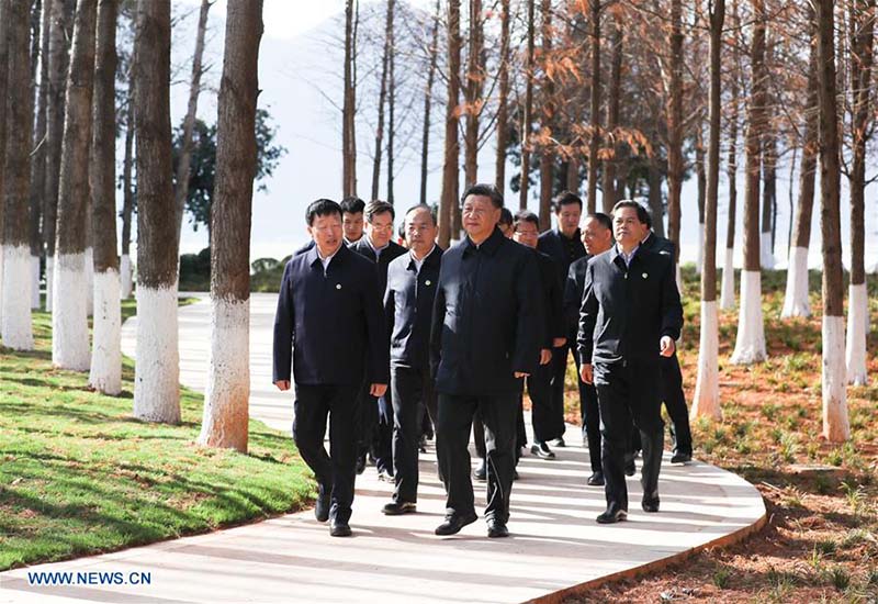 Xi Jinping inspecte la zone humide écologique du lac Dianchi