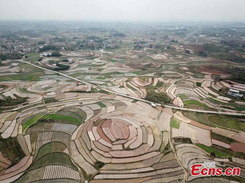 Photos aériennes de paysages ruraux de printemps dans le Guangxi