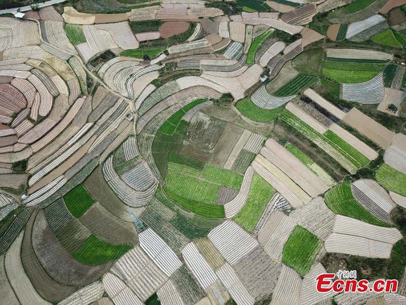 Photos aériennes de paysages ruraux de printemps dans le Guangxi