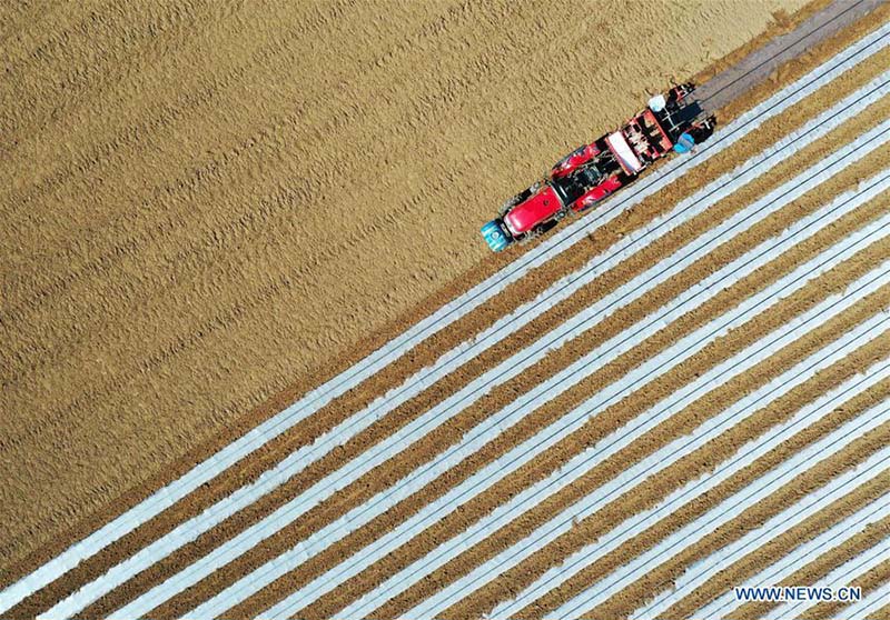 En photos : les travaux agricoles de printemps à travers la Chine