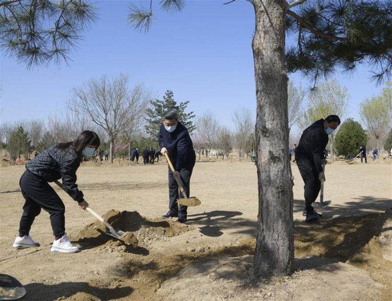 Xi Jinping participe à la plantation d'arbres à Beijing, exhortant au respect de la nature