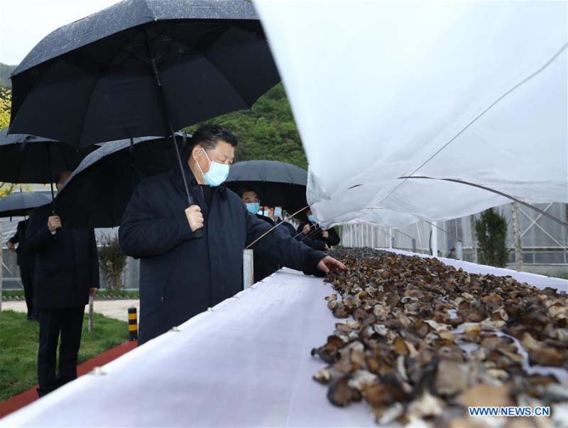 Xi Jinping inspecte la province du Shaanxi