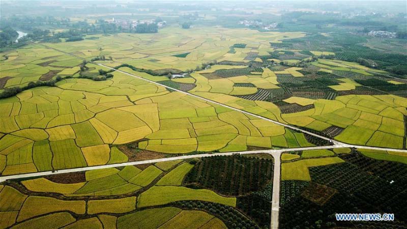 Le Guangxi construit un réseau routier rural à couverture totale reliant tous les cantons et les villages administratifs