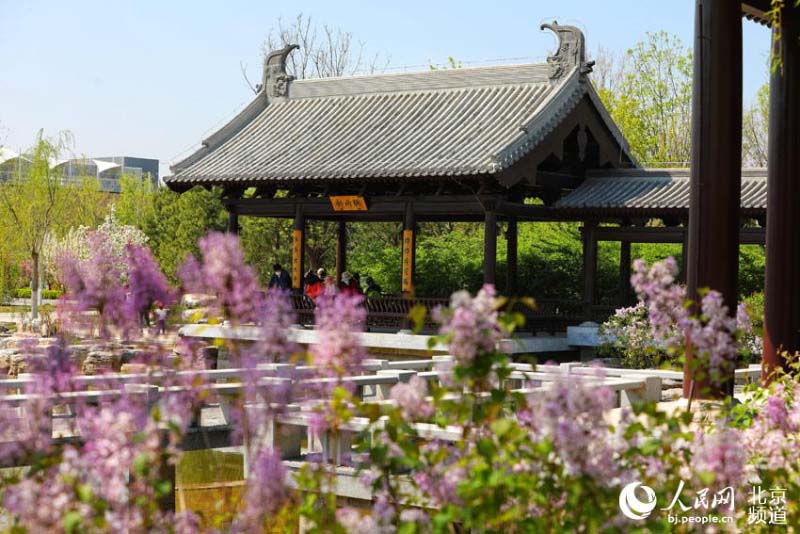 Profitez d'une Exposition mondiale d'horticulture « éternelle » à Beijing
