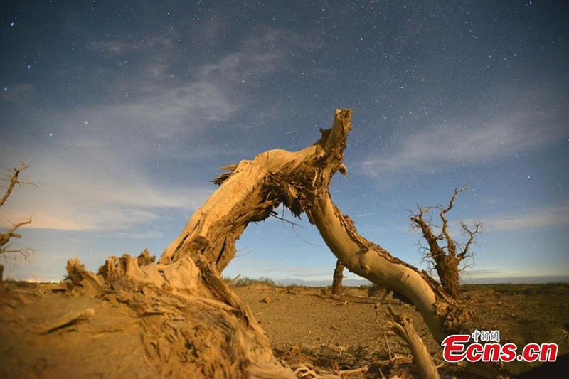 La nuit étoilée paisible dans le bassin du Tarim au Xinjiang