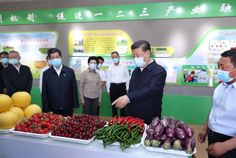Xi Jinping en inspection à Yinchuan, dans le Ningxia (nord-ouest)