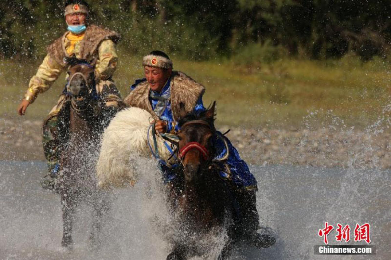 Des cavaliers font la course pour attraper des moutons dans une zone humide du Xinjiang