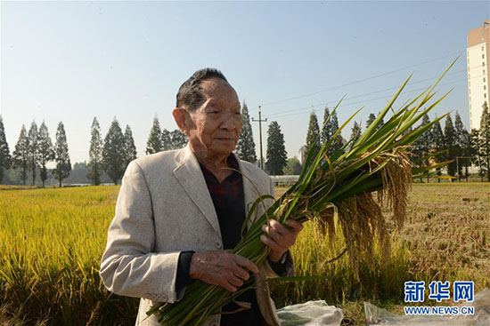 La sécurité alimentaire reste un enjeu clé en Chine