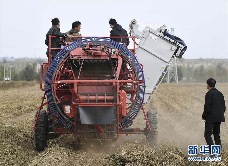 Ningxia : une nouvelle arracheuse de pommes de terre fait ses débuts à Xihaigu