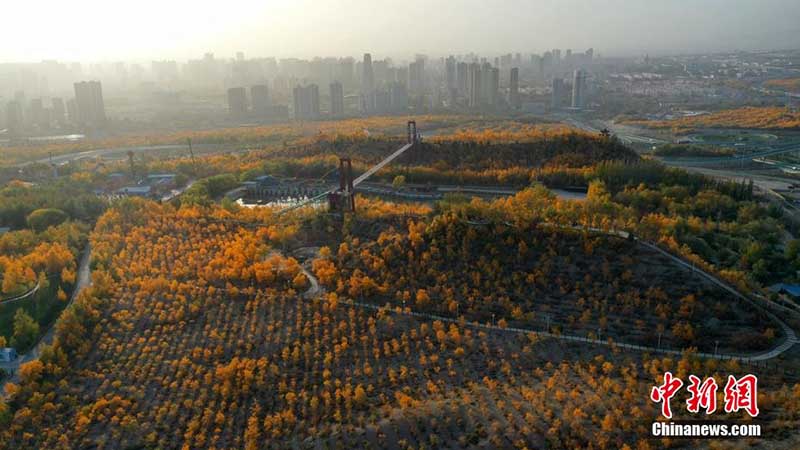 À Korla dans le Xinjiang, les montagnes teintées par l'automne offrent un paysage charmant