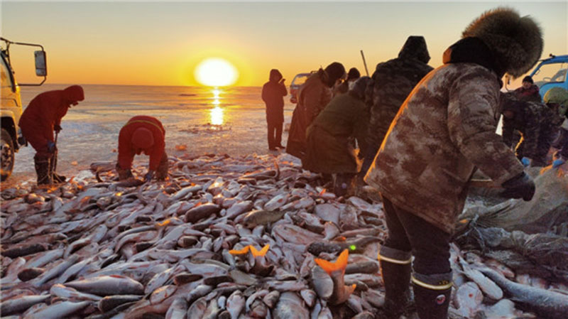 Une pêche massive de poissons sur un lac gelé de la province du Jilin