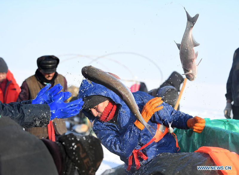 La pêche hivernale dans la région autonome ouïghoure du Xinjiang