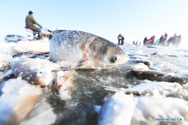 La pêche hivernale dans la région autonome ouïghoure du Xinjiang