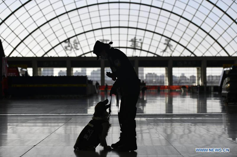 Les chiens policiers rejoignent les patrouilles dans les gares pour assurer la sécurité des passagers