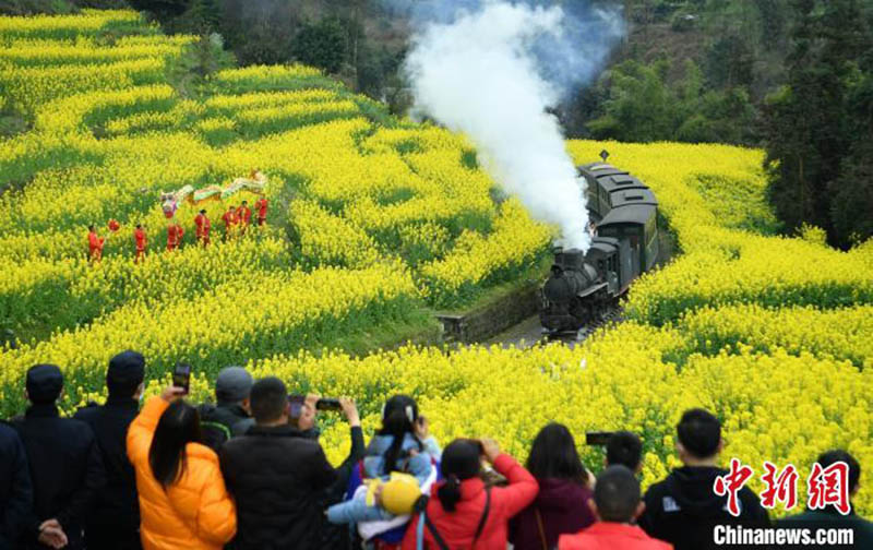 Un petit train à destination du printemps dans le Sichuan