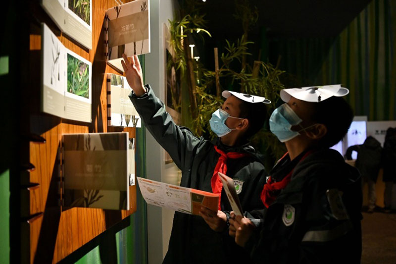 Ouverture d'un musée interactif sur le panda à Chengdu