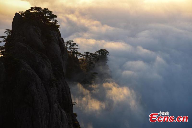 Paysage de mer de nuages sur les monts Huangshan