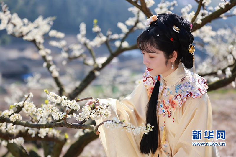 La popularité du Hanfu témoigne de la force et de la persistance de la culture traditionnelle chinoise