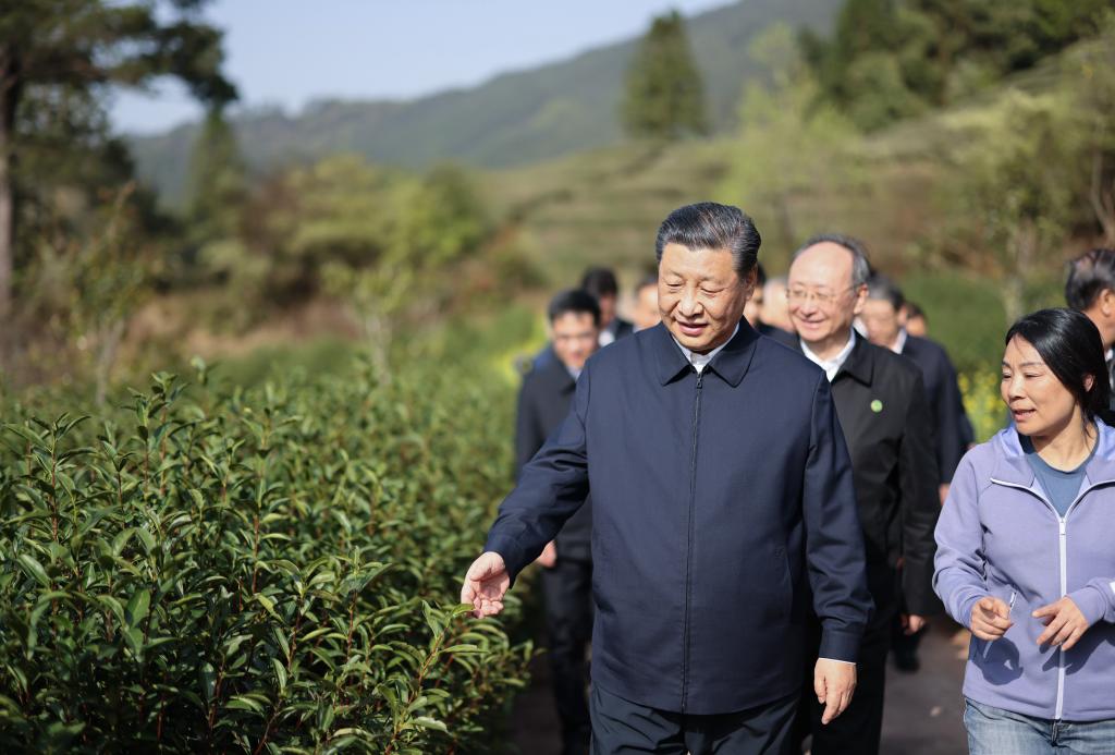 Xi Jinping souligne l'importance de redoubler d'efforts pour servir et s'intégrer dans le nouveau paradigme de développement