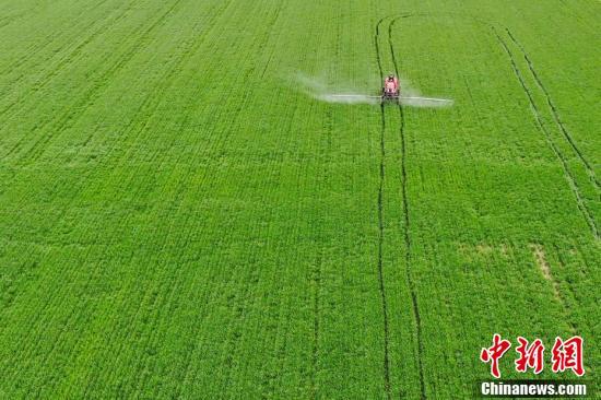 L'agriculture de printemps chinoise passe à la hi-tech grâce aux technologies et aux machines agricoles modernes