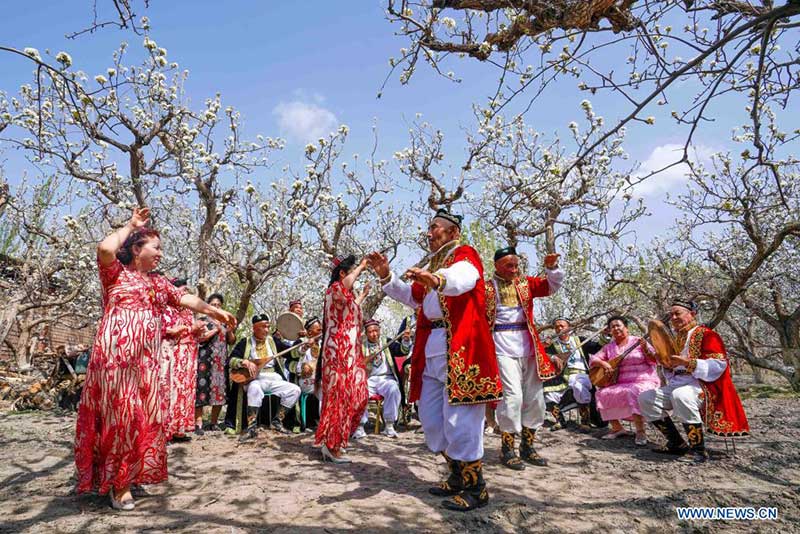 Xinjiang : floraison de poiriers à Korla