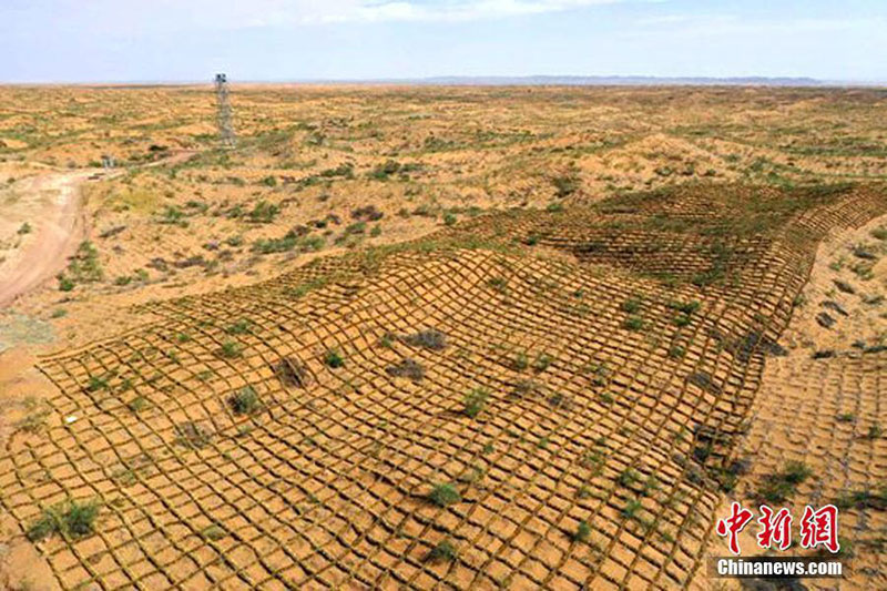 Des grilles pour carrés de paille développées pour la lutte contre la désertification
