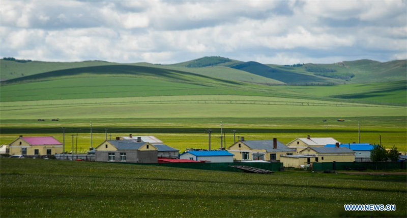 Paysage de prairie en Mongolie intérieure