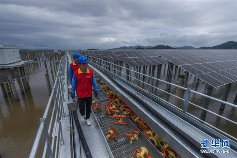 Zhejiang: la convergence de la pêche et de l'énergie photovoltaïque se développe sur une grande vasière