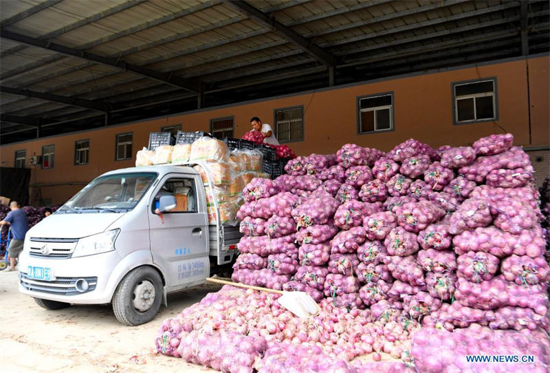 Des travailleurs transfèrent des légumes dans un centre logistique du district de Zhongmu, à Zhengzhou, dans la province chinoise du Henan (centre), le 22 juillet 2021. (Hao Yuan / Xinhua)